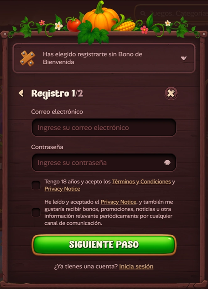 Roostino Casino registro: campos para correo y contraseña